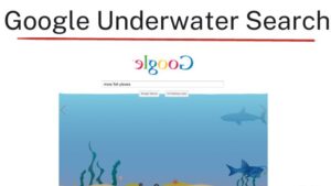 Google Underwater Search – Dive into a Fun